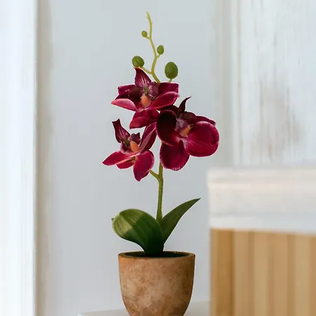 アパート Firule Apartment-two Bedroom Urban Chic-prime Location-walk To Beach-free Parking スプリト