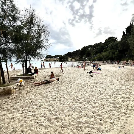 Firule Apartment-two Bedroom Urban Chic-prime Location-walk To Beach-free Parking *